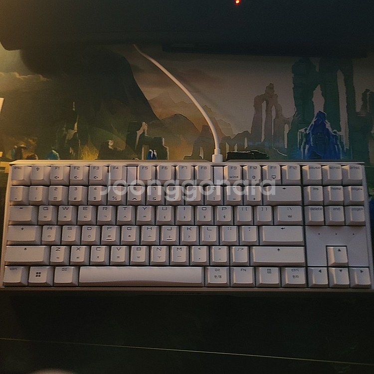 체리 MX BOARD 3.0S TKL 화이트 갈축 풀윤...--1