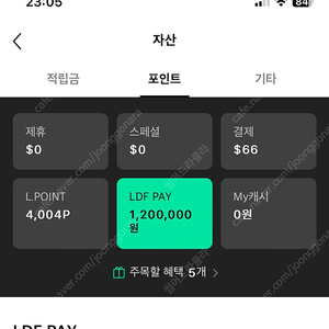 롯데면세점 전점 119만원(114만 판매) LDF pay 냠페이