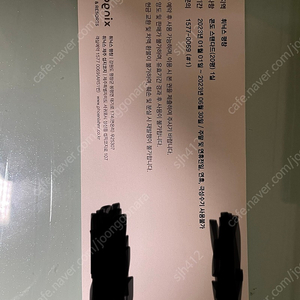 휘닉스 평창 콘도 스탠다드(20평) 1박 티켓 판매