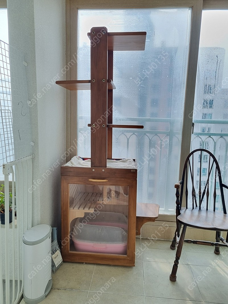 나비나무 원목 캣타워 겸 화장실 (사막화 방지에 굿)--0