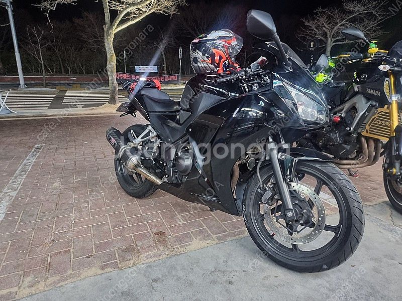 대구 쿼터급 cbr 300r 튜닝다수--0