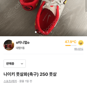 나이키 축구 풋살화 250