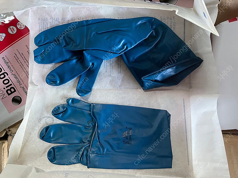 미국산 최고급 라텍스 장갑 non-latex bioge 이미지
