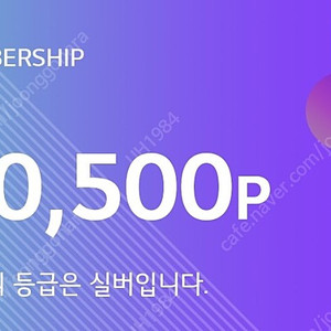 LG전자베스트샵 멤버십 포인트 500,500원