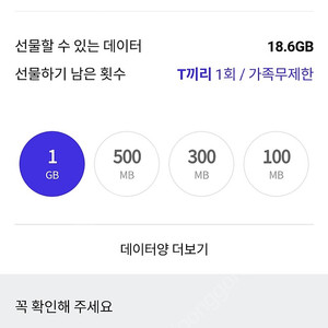 sk데이터 1기가