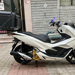 더 뉴 pcx 19년식 팝니다