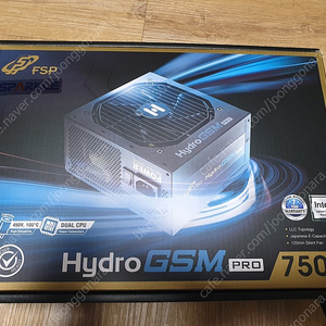 FSP HYDRO GSM 750W GOLD 세미모듈러