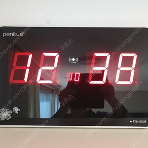 페니투스 RTIM-SH30R 팝니다