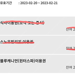 휘닉스평창 블루캐니언 20-21 2장 판매