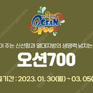 펑창 알펜시아 오션700. 워터파크 3장 일괄