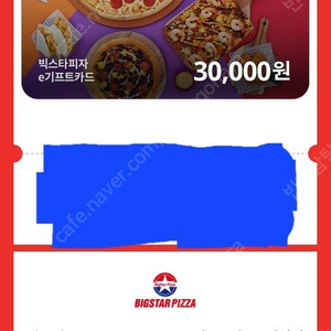 빅스타피자 3만원권