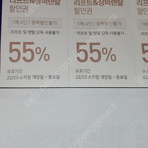 비발디 스키장 리프트 렌탈 할인권 55%