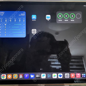 아이패드 프로 5세대 12.9인치