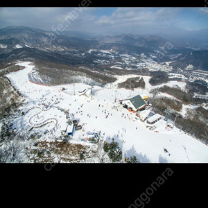 휘닉스 블루캐니언 2/26일 조식 스노우빌리지 삽니다