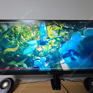 (울산) LG 모니터 34WQ650W