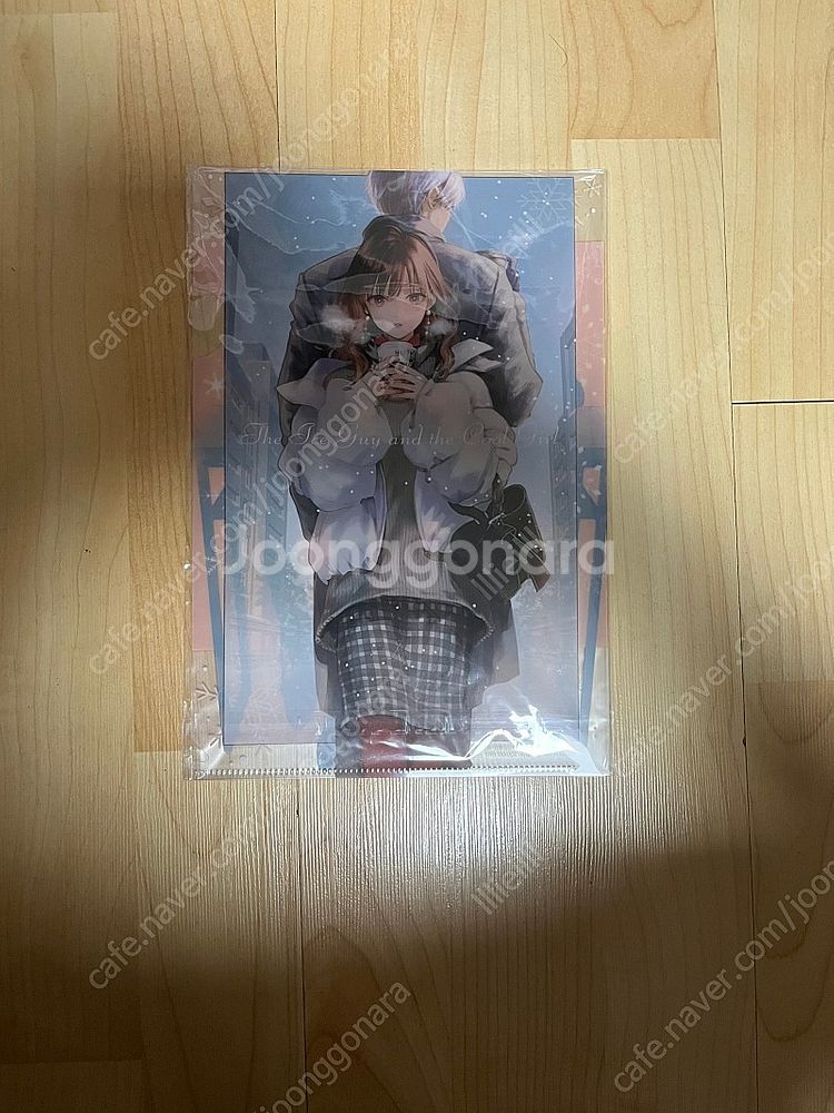 라이트노벨 라노벨 하이큐,봇치 더 록,앙스타, 스파이 ...--4