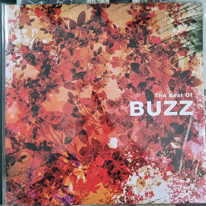 버즈(buzz) 베스트 lp