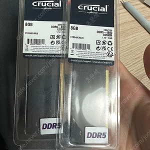 DDR5 PNY 하이닉스 램 16GB