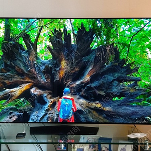 엘지 oled 65인치 올레드 tv 팝니다.