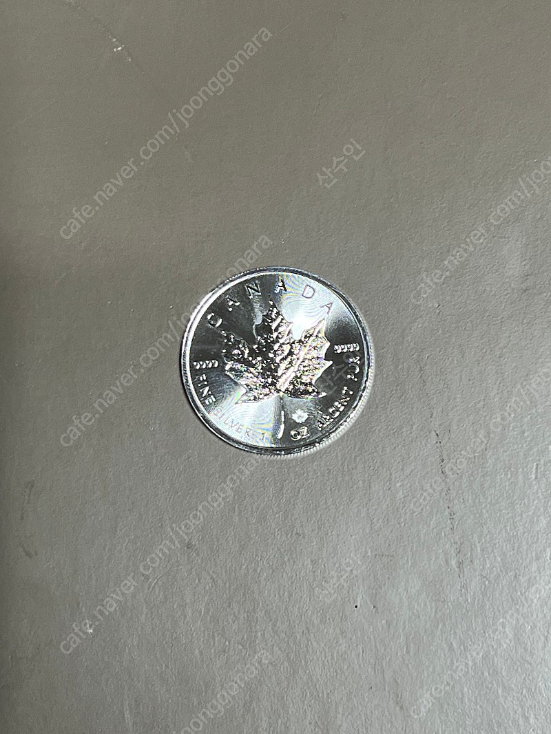실버코인 24개 캐나다 메이플 | 중고나라 - 안심되는 중고거래