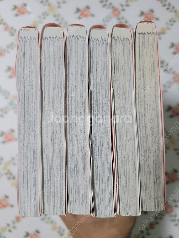 아오하라이드 작가) 사쿠라, 사쿠 1~6권 (연재작)--3