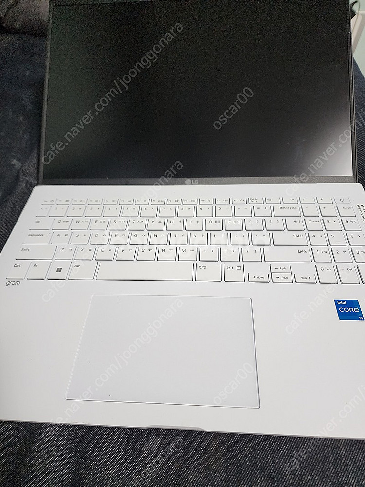 LG 그램 게이밍 팝니다--2