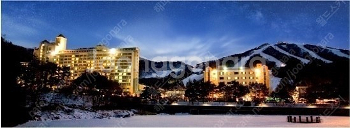 웰리힐리파크(스키장) 콘도﻿ 스위트B형(35평) 양도합...--0