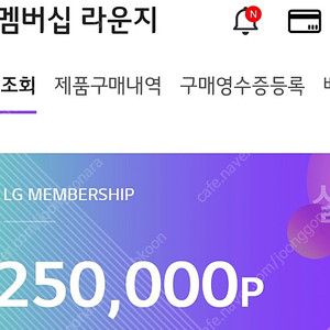 LG전자 포인트 25만점 판매합니다