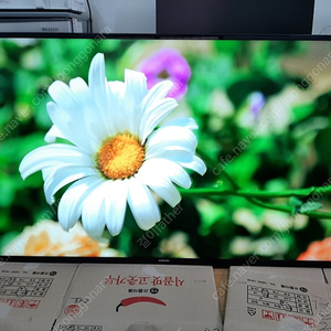 삼성 65인치 LED TV