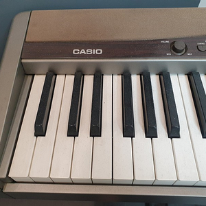 디지털피아노 casio privia px100