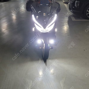 pcx150 20년식 판매