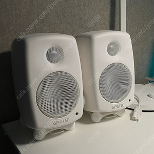 제네렉 8010aw genelec