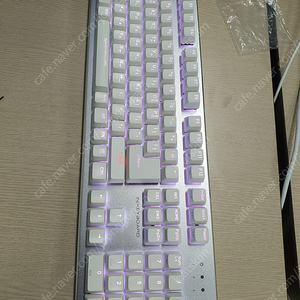 스카이디지탈 NKEYBOARD NKEY R5 RGB 실버 갈축 5만원에 판매합니다.