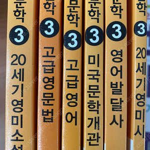 독학사 영어영문학 3단계 팝니다