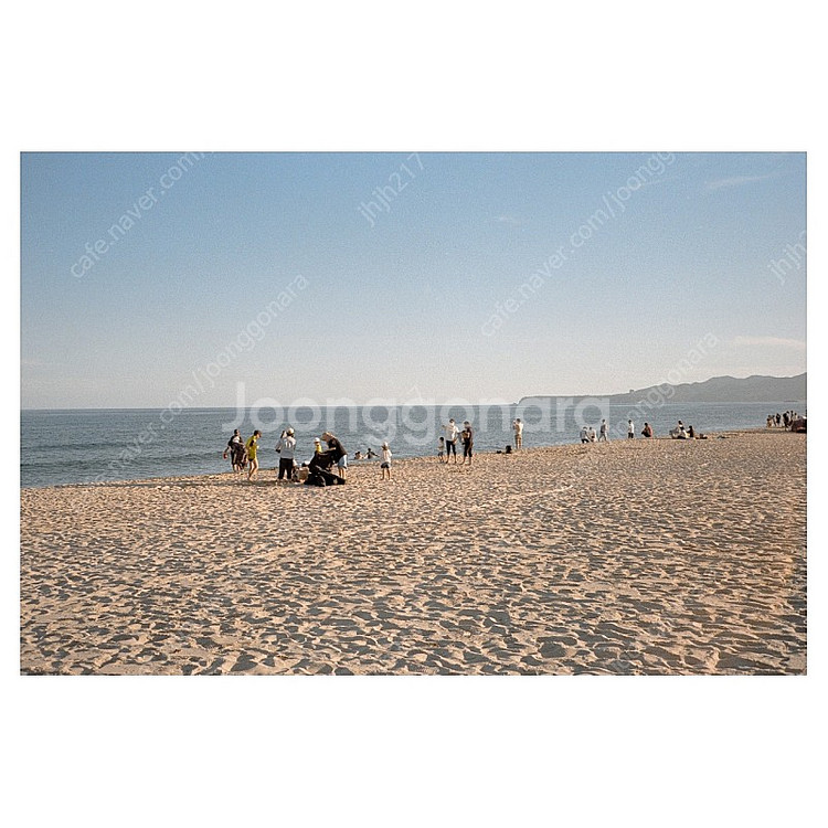 콘탁스 T, contax T--8