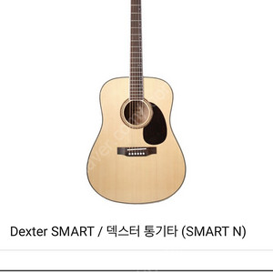 덱스터 smart n 통기타