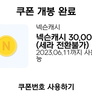 넥슨캐쉬 3만원