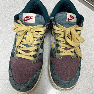 나이키 덩크 로우 커뮤니티 그린 260