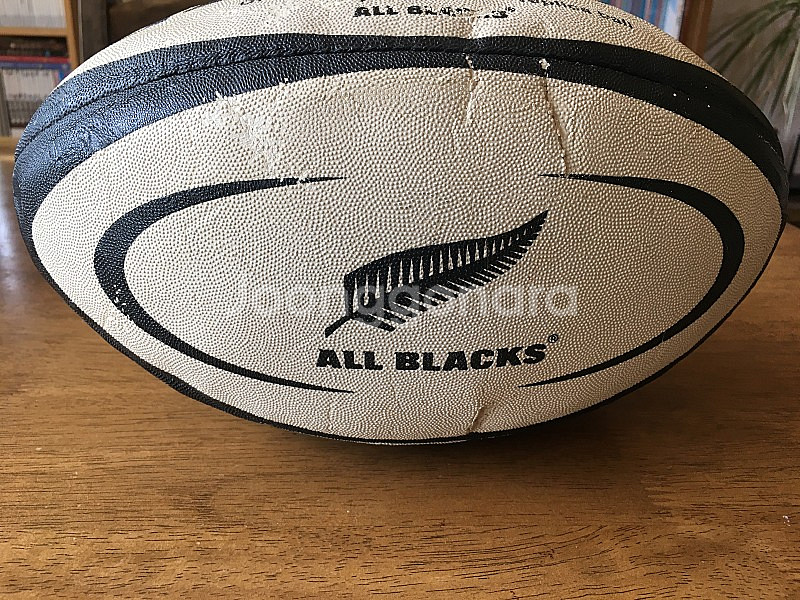 뉴질랜드 럭비 all blacks(올블랙스) 럭비공 팝...--2
