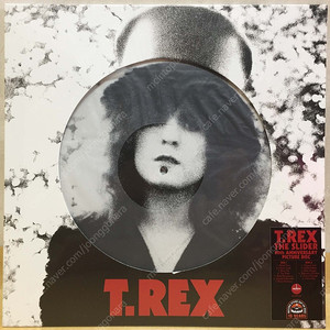 LP ; T. Rex 티렉스 엘피 음반 2장 픽쳐디스크 글램 락 glam rock