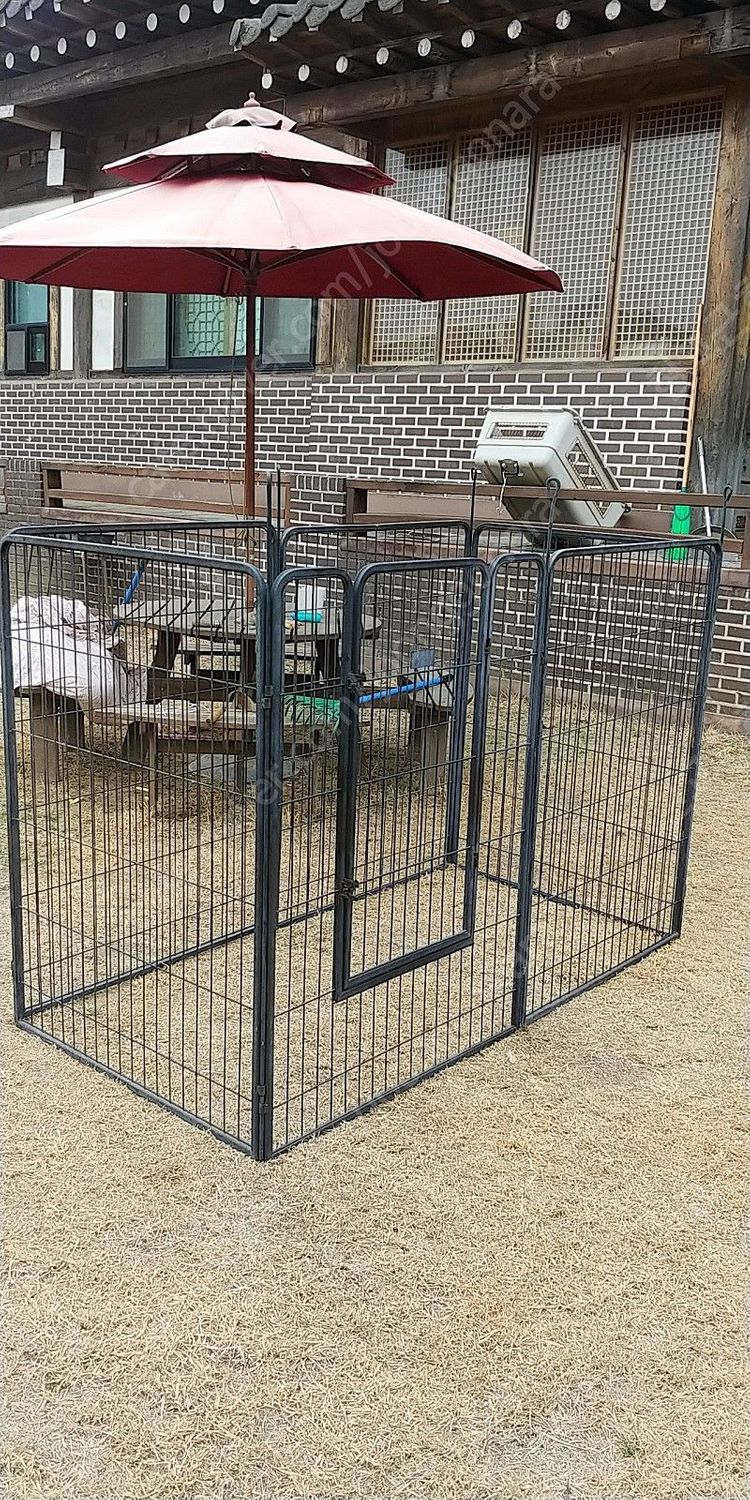 대형견 울타리--1