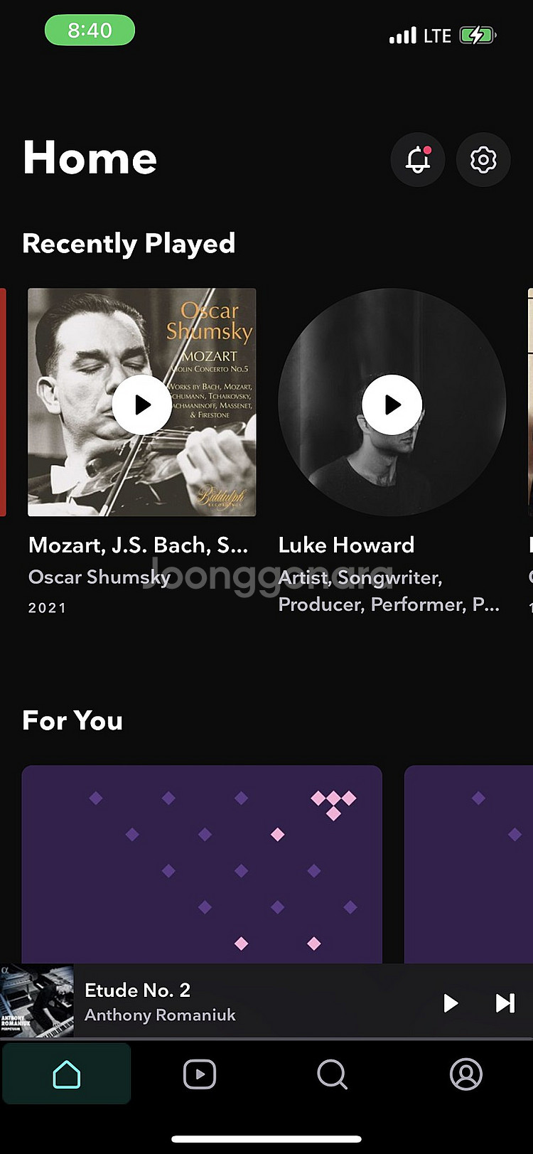 TIDAL 타이달 미국버스 두분모집--0