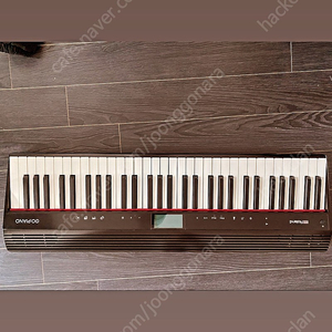 Roland go piano digital piano (롤렌드 고 디지털 피아노)