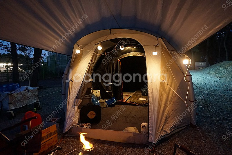 퀘차 데카트론 에어텐트 에어세컨즈 4.1 (타프 판매 완료) 텐트만--2