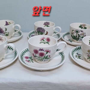 포트메리온 보타닉가든 커피잔&소서 6조 12p