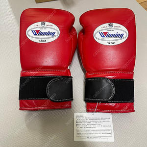 위닝 신형글러브 12oz