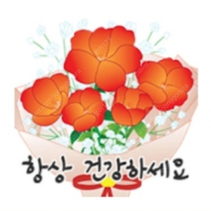 속편한 하루