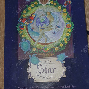 the star tarot 초기버젼