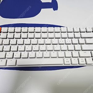 키크론 K3 레트로 적축 (팜레스트, 키스킨 포함)