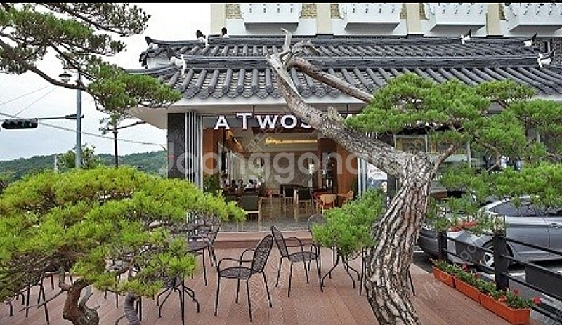 (급) 경주 벚꽃축제 가세요!!! 아리수 경주호텔 1박...--3
